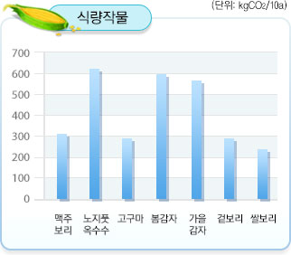 식량작물 그래프