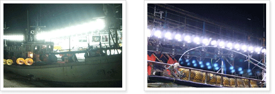 <에너지 절감형 공랭식 및 수랭식 집어등 조업 실험>