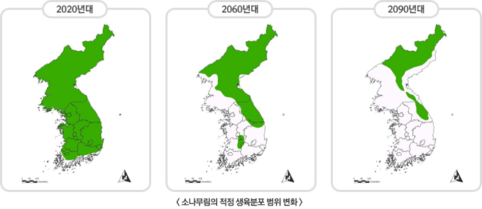 소나무림의 적정 생육분포 범위 변화